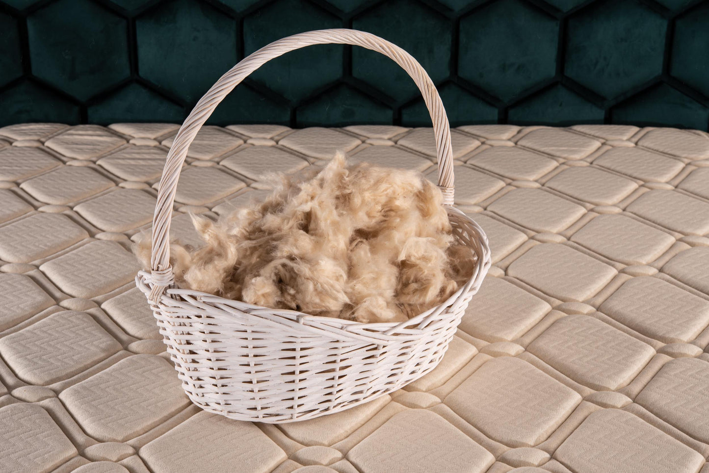 Organic cotton pillow with kapok filling