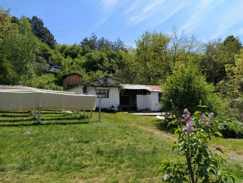 Organic Merino wool baby blanket