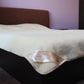 Merino Wool Blanket